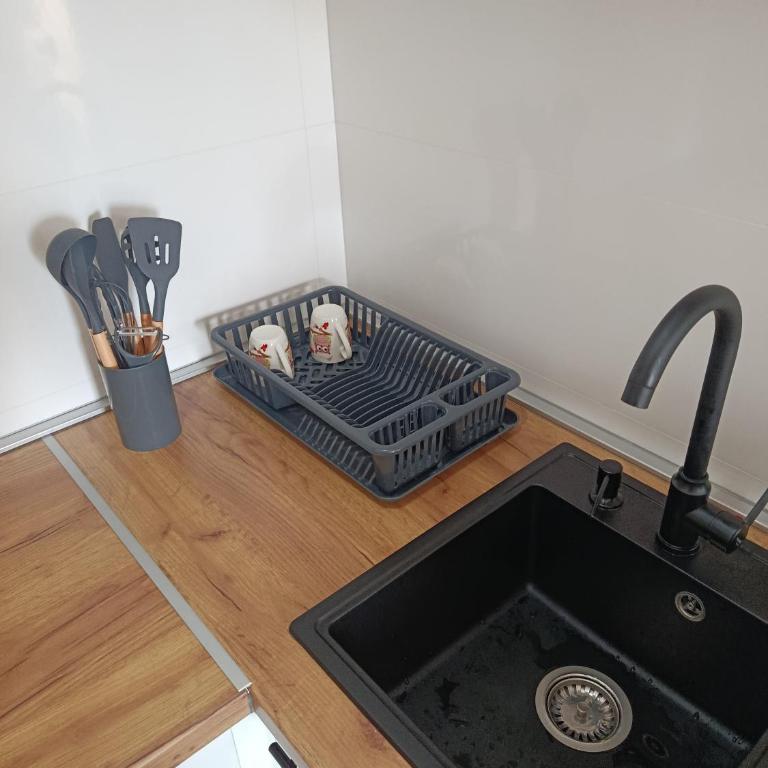 Top Spa apartman - Apartman sa 1 Spavaćom Sobom - 10