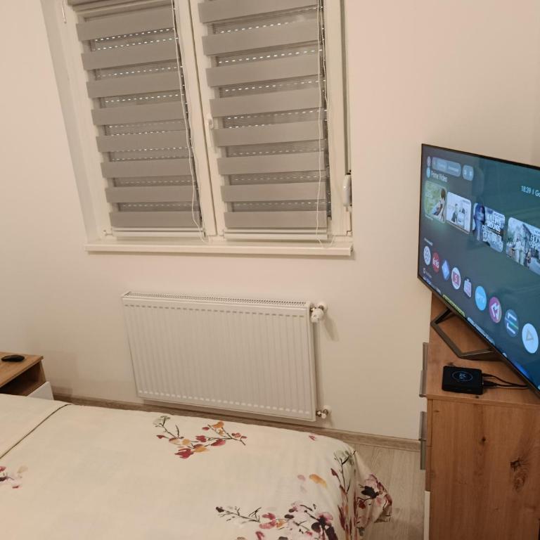 Top Spa apartman - Apartman sa 1 Spavaćom Sobom - 17