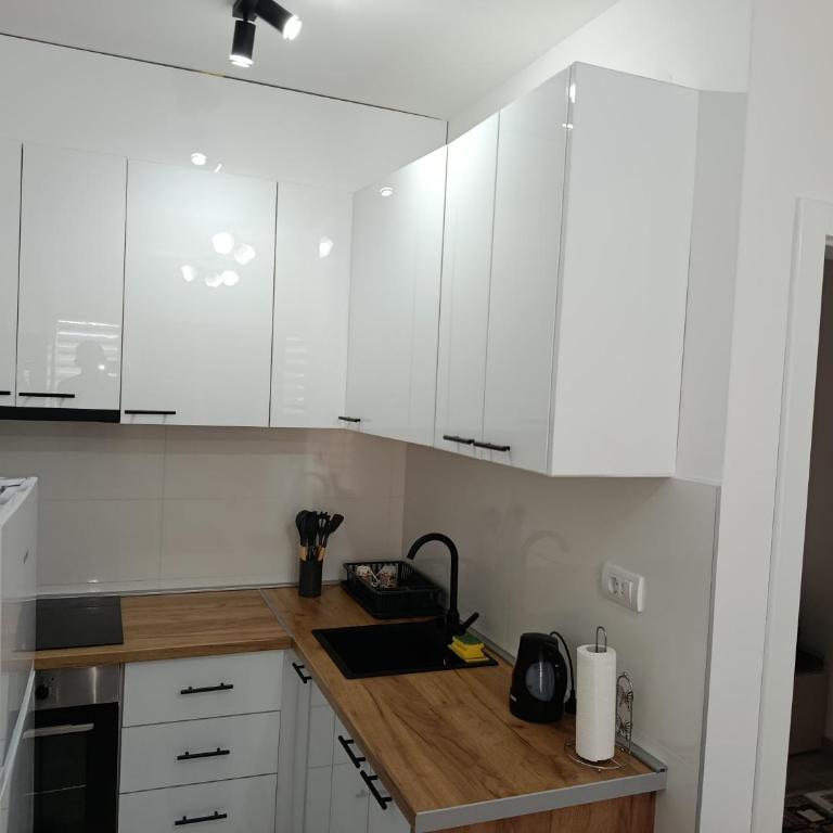 Top Spa apartman - Apartman sa 1 Spavaćom Sobom - 8