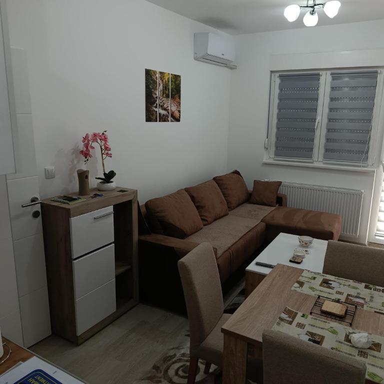 Top Spa apartman - Apartman sa 1 Spavaćom Sobom - 2