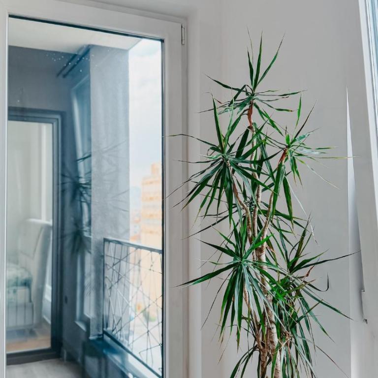 Bulevar Modern Residence - 2 - Apartman sa 3 Spavaće Sobe - 5