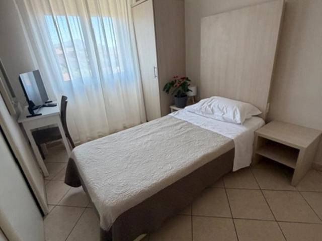 Terme Palace Hotel - Camera Singola - 1