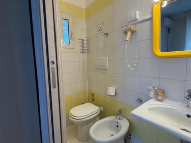 Terme Palace Hotel - Camera Singola - 2