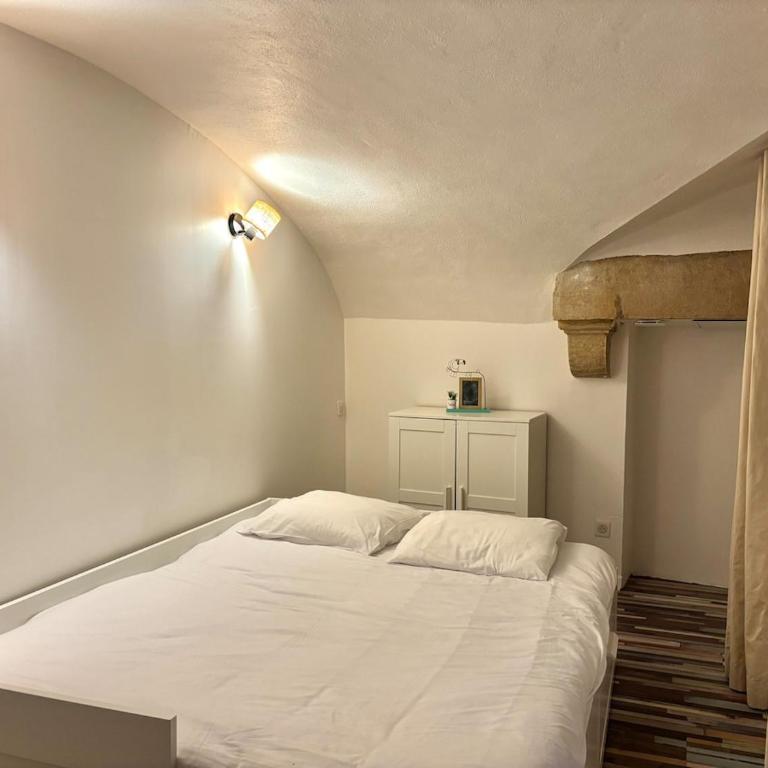 Le loft Pasteur centre historique de Dijon - Appartement 2 Chambres - 23