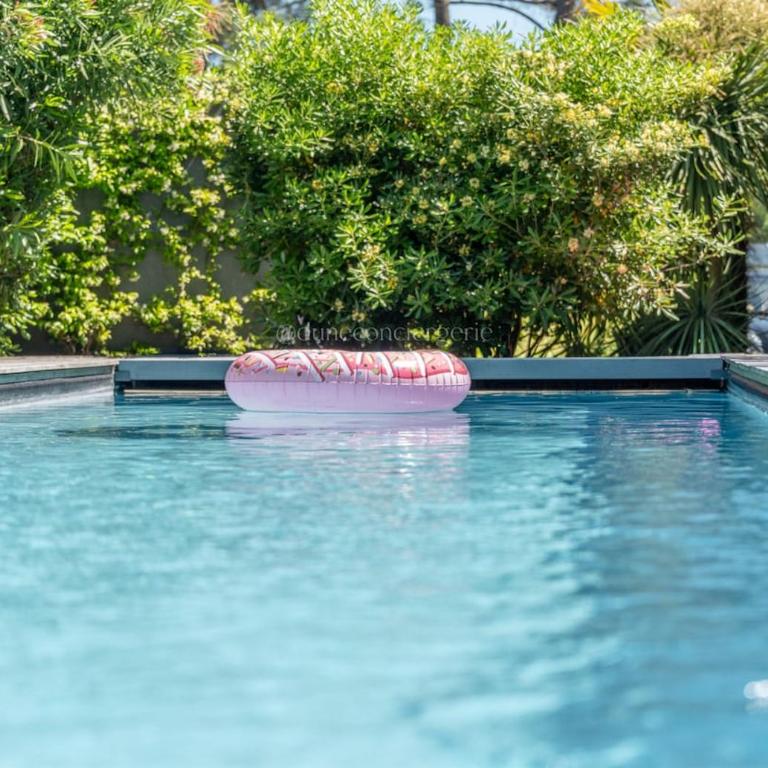 Villa Yucca au Cap Ferret I Piscine I Marché I Plages - Villa avec Piscine Privée - 8