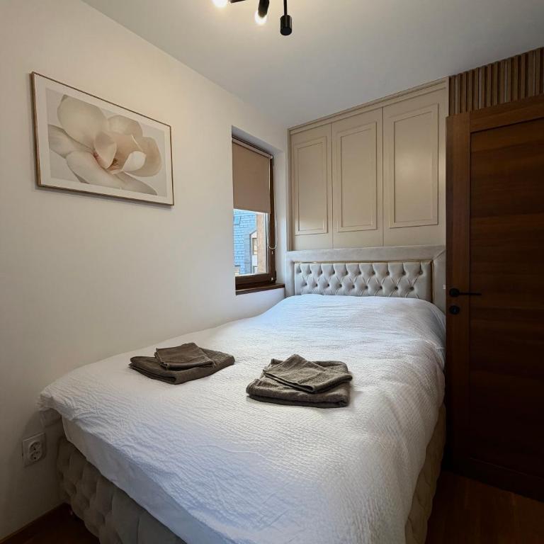 3N Royal Mountain II - Apartman sa 1 Spavaćom Sobom - 8