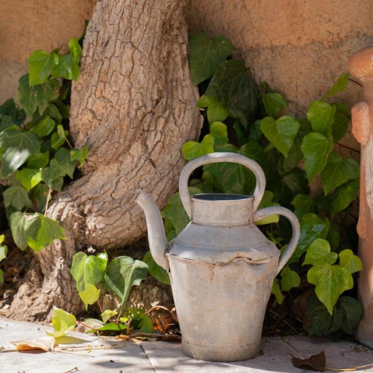 Unique & artistic country house, close to Aix - Villa - 22