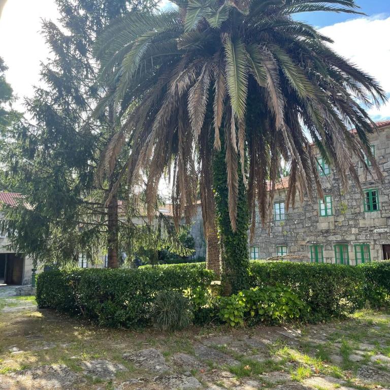 Casa Playa Compostela - Three-Bedroom House - 22