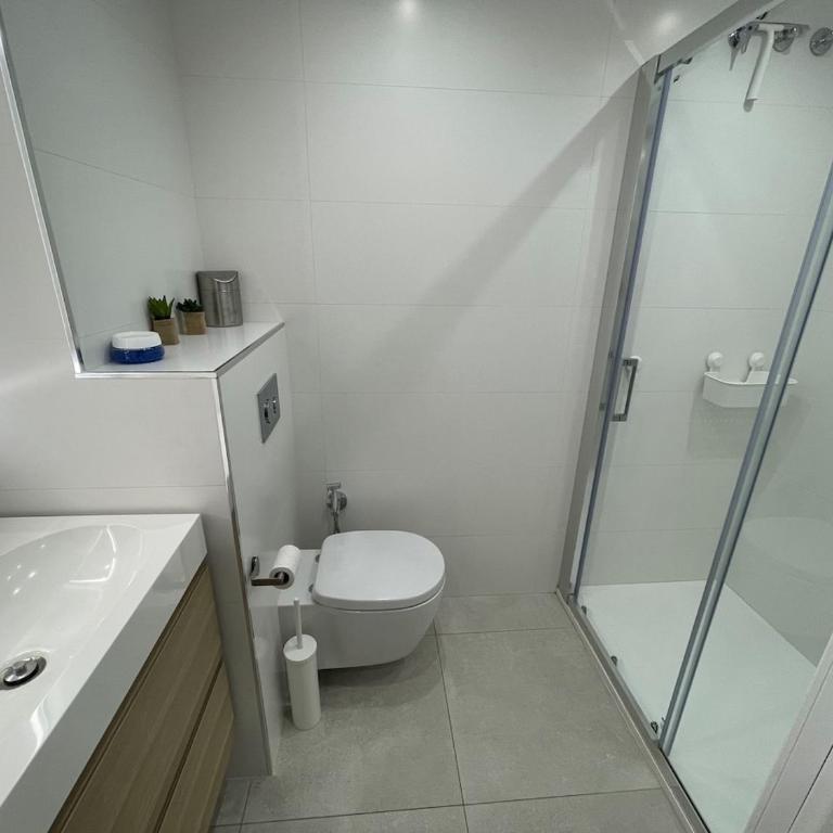 Luxury home at center - Three-Bedroom Premium Apartment - 9