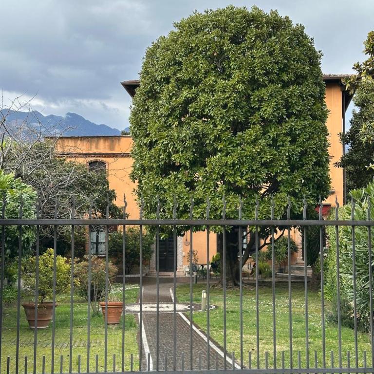 Villa Elisabetta - Appartamento con 2 Camere da Letto - 16