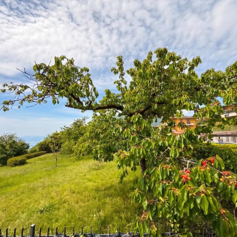 Appartamento Petra Tignale by Gardadomusmea - Appartamento con Balcone - 32