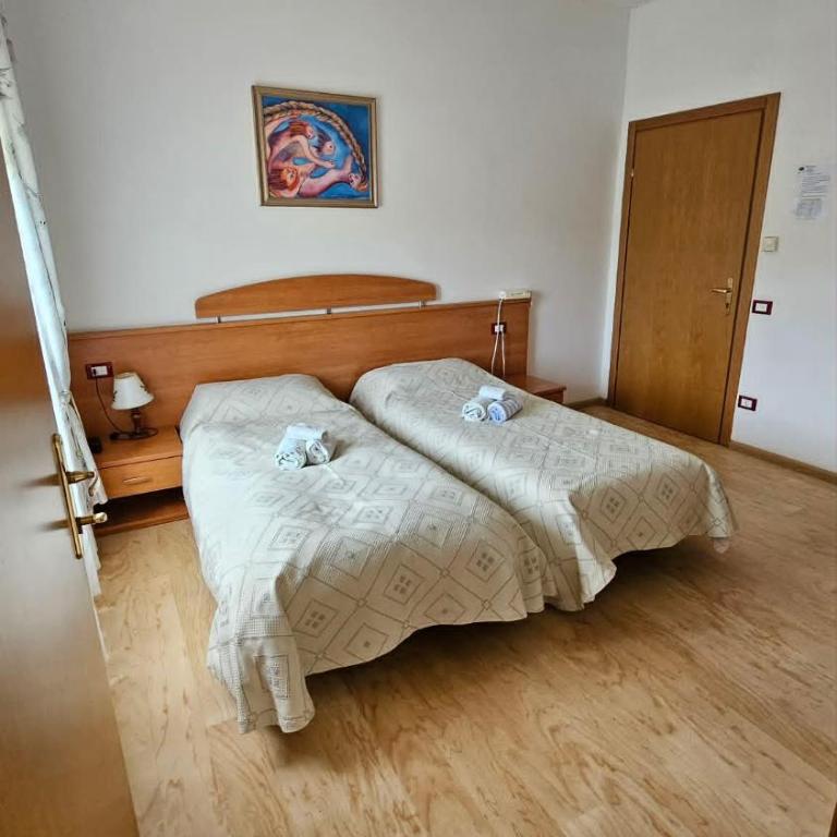 Albergo passo Brocon - Standard Zweibettzimmer mit Bergblick - 1