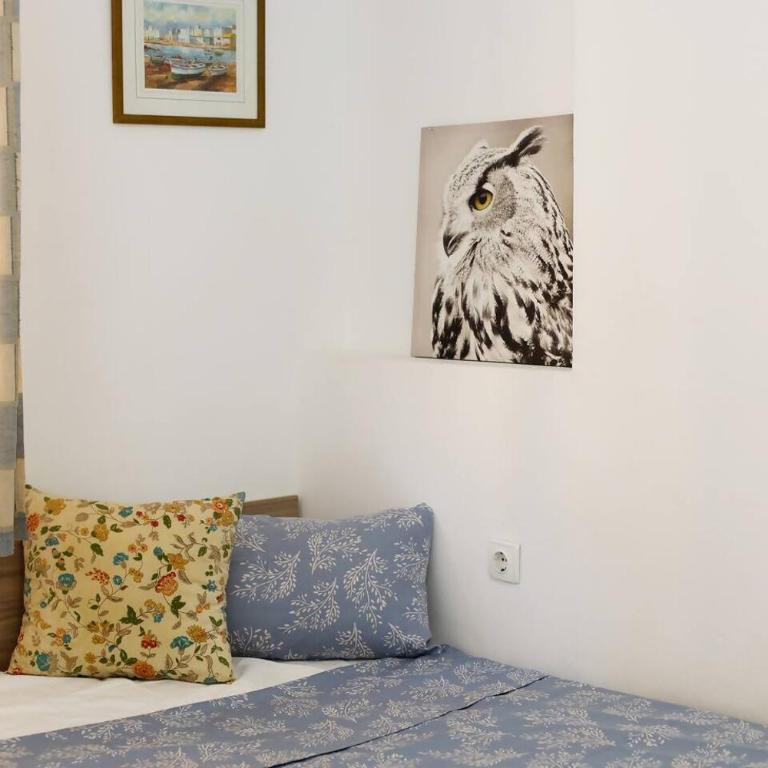 Jardín en el centro de Calpe - Apartamento de 2 dormitorios - 5