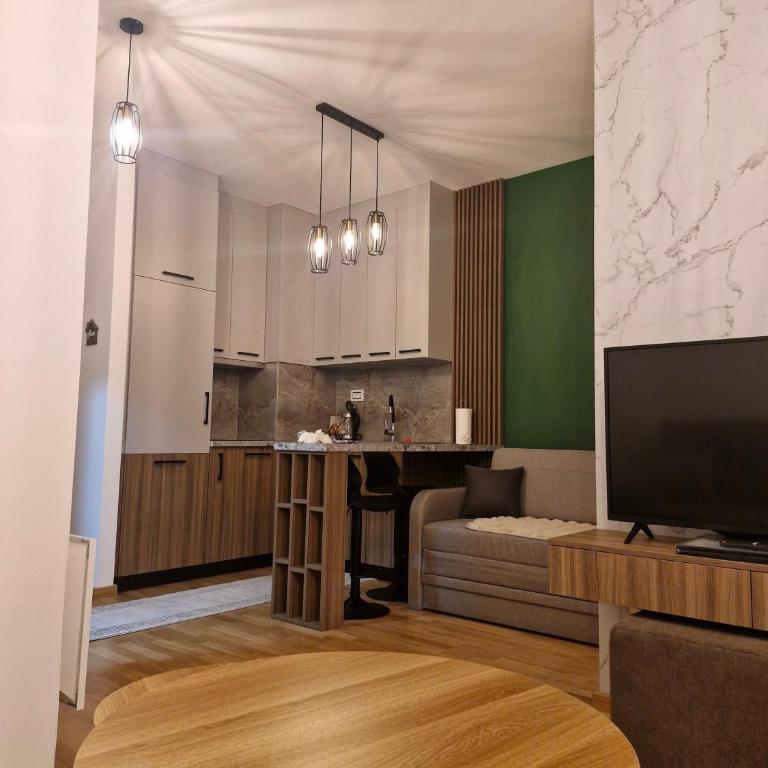 Apart-Hotel Antique 10 - One-Bedroom Apartment - 1