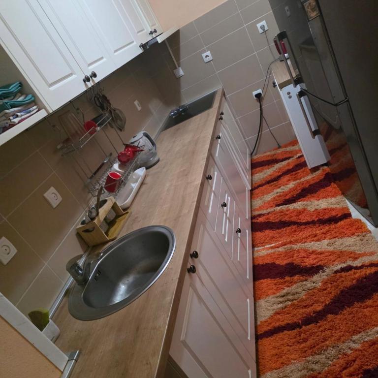 Apartman Fikus - Apartman sa 1 Spavaćom Sobom - 4