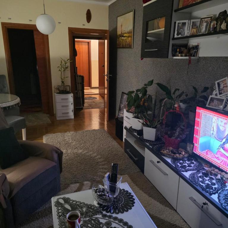 Apartman Fikus - Apartman sa 1 Spavaćom Sobom - 5