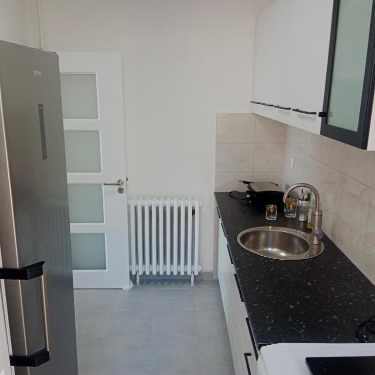 Vidik Mirijevo - Apartman sa 1 Spavaćom Sobom - 9