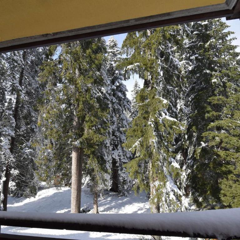 Capanna Arnold Apartment - Appartamento con 3 Camere da Letto - 32