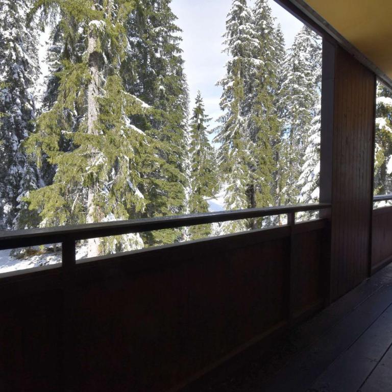 Capanna Arnold Apartment - Appartamento con 3 Camere da Letto - 41