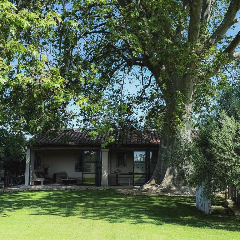Mas D'Images by Henk van Cauwenbergh - Villa avec Piscine Privée - 14