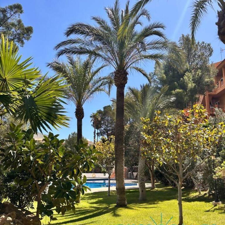 Vistalmar, paraíso Mediterráneo - Apartamento de 3 dormitorios - 9