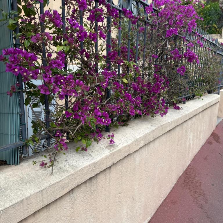 Quiet Private Apartment - 2min Train Station - 5min Palais Croisette - Private entrance - Appartement 2 Chambres avec Terrasse - 18