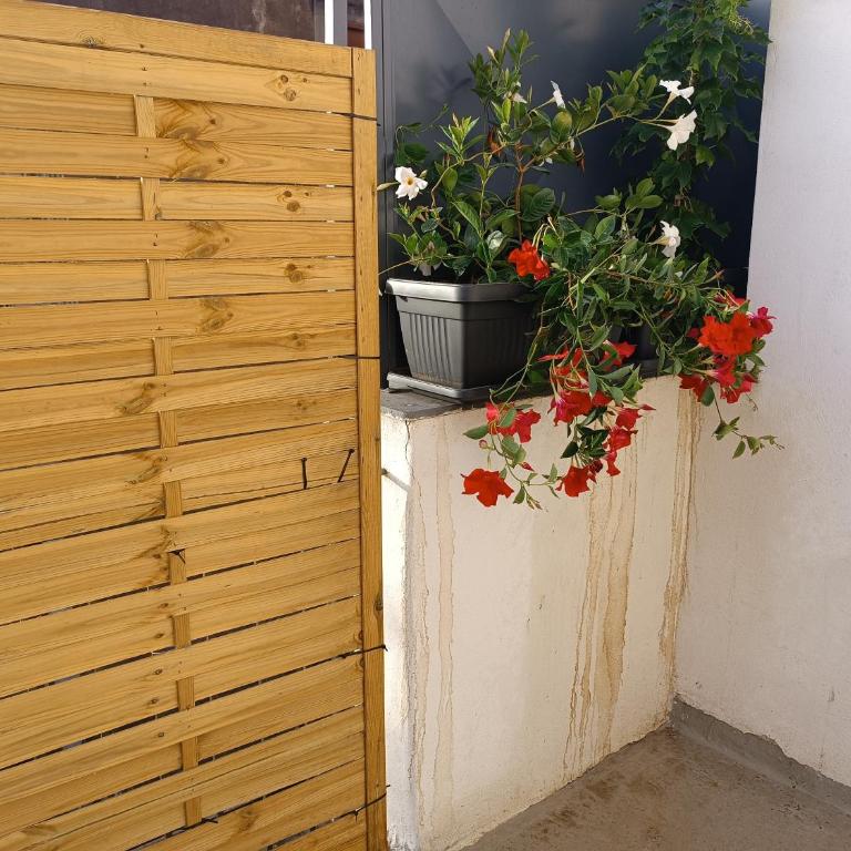 Archi Della Marina - Two-Bedroom House - 16