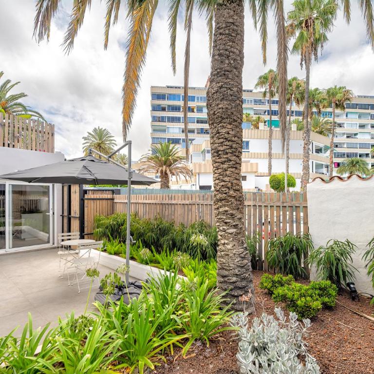 Tirma Studios - Studio with Terrace - 13