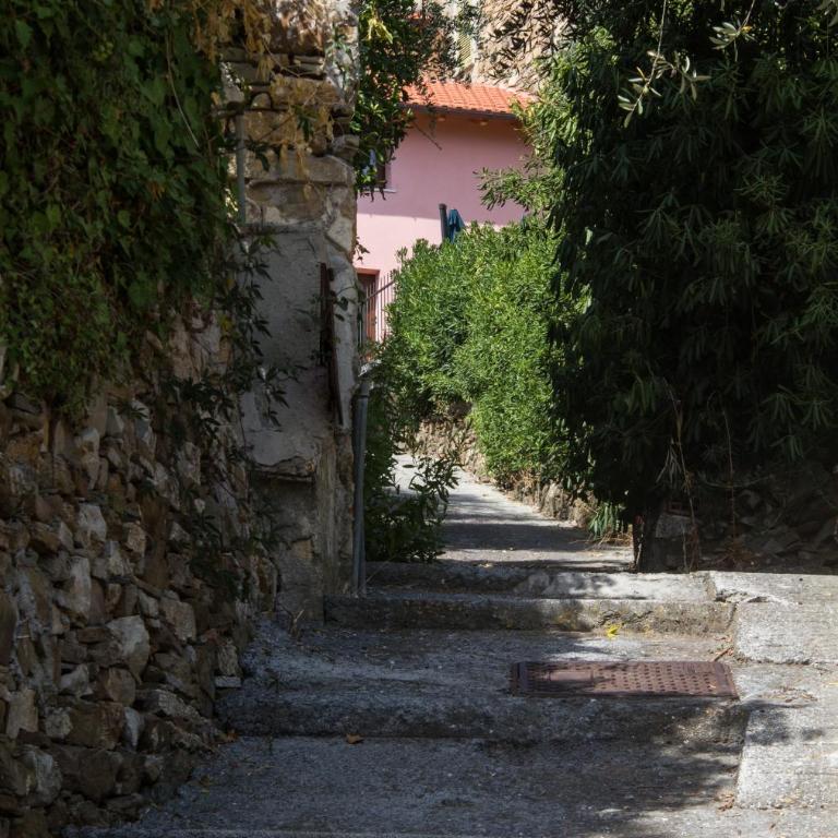 Casa Klaus, Olivenbäume an der ligurischen Riviera - Appartamento - 23