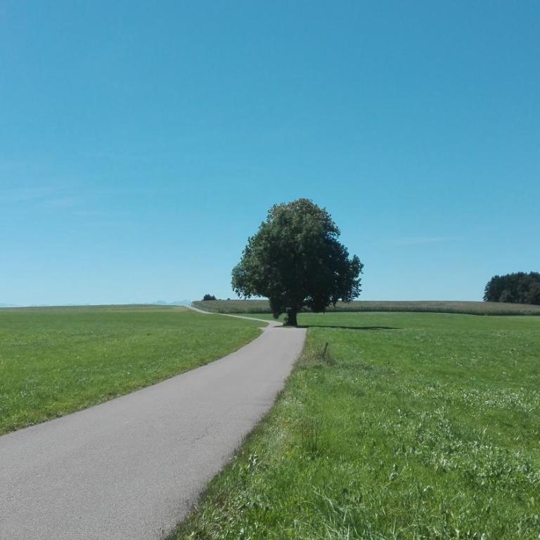 Island Pferdehof Arrisholt Solskin - Haus mit 2 Schlafzimmern - 13