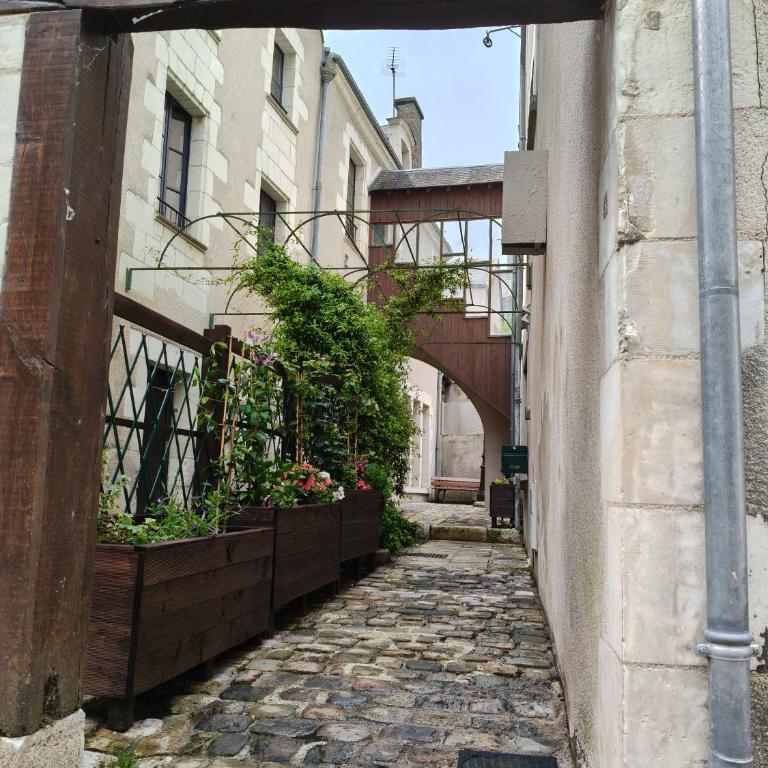 Gîte familial au cœur de Saint-Aignan séjour idéal 3 nuits à 5 min du Zoo de Beauval - Townhouse mit 3 Schlafzimmern - 1