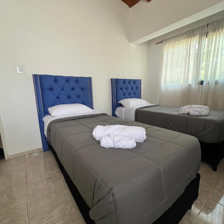 Casa completa nueva 2 habitaciones 4 huespedes - Apartamento de 1 dormitorio - 39