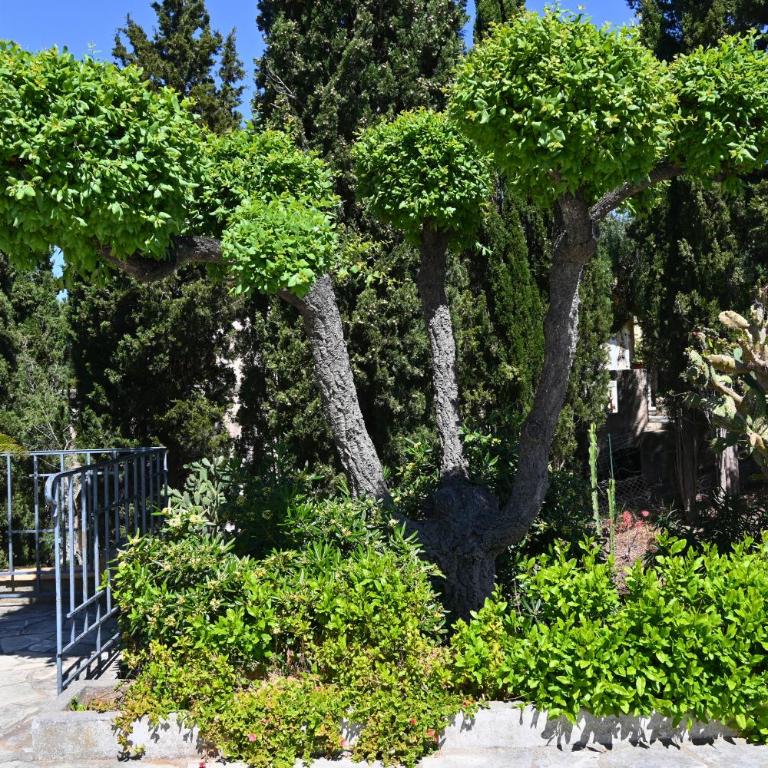Villa 3 étoiles de 120m2 - vue mer - clim - mer à 600m - Villa - 22