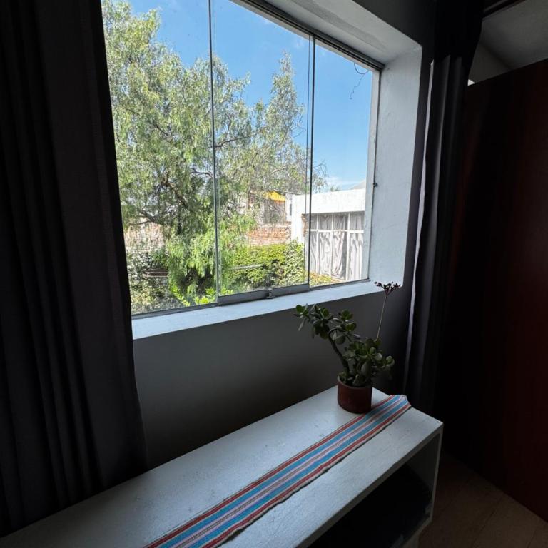 Departamento céntrico con jardín - One-Bedroom Apartment - 3