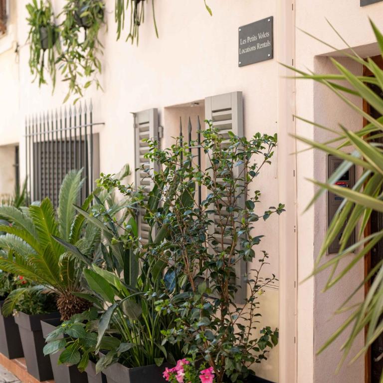 Les Petits Volets Appartements à 100m de la mer - Appartement avec Terrasse - 8
