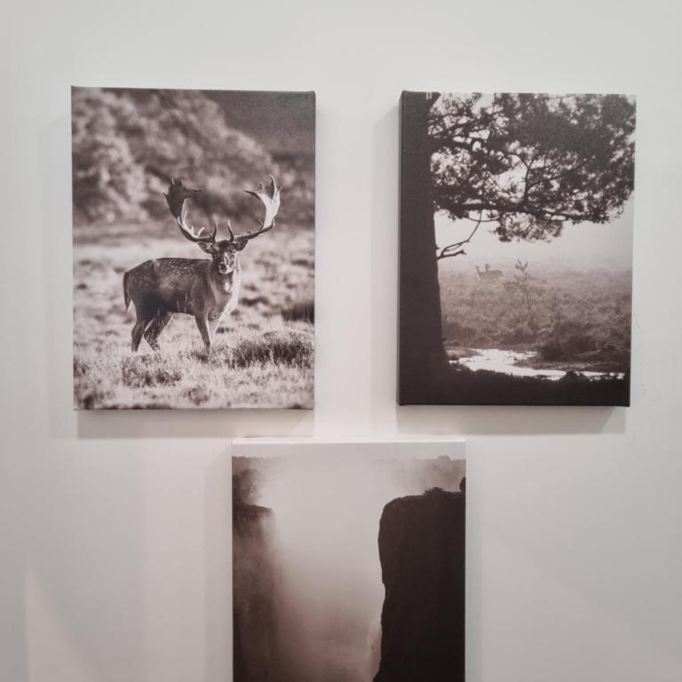 Appartamento moderno nel cuore di San Lorenzo - Apartment mit 2 Schlafzimmern - 15