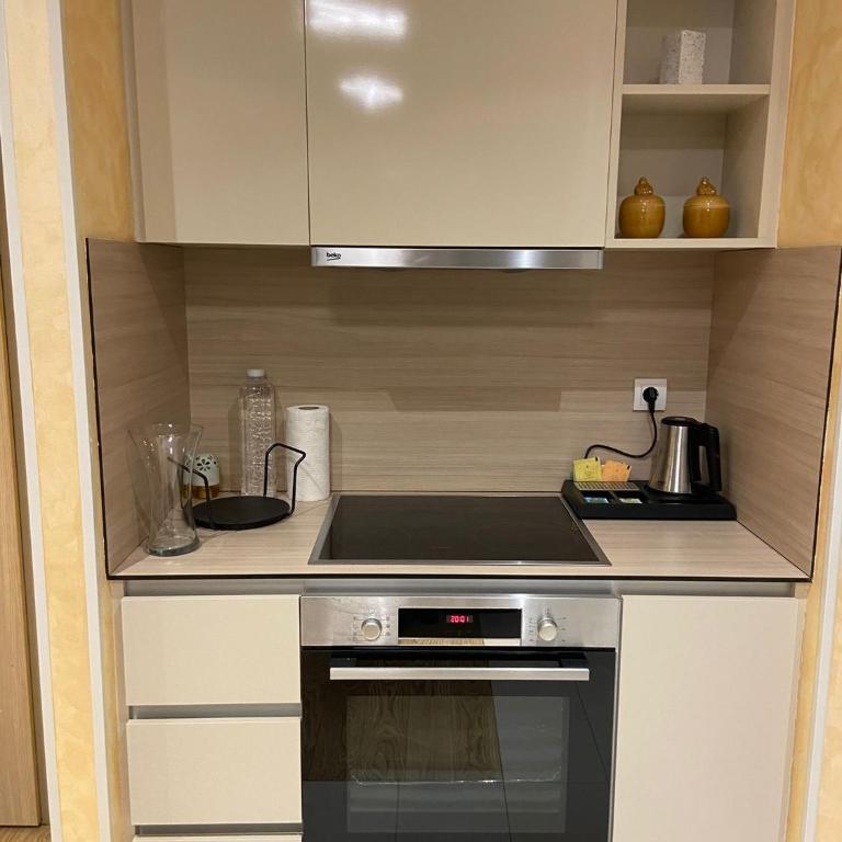 Belgrade Waterfront Exclusive Residence with Free Garage - Deluks Apartman s 1 Spavaćom Sobom i Pogledom na Vrt - 4