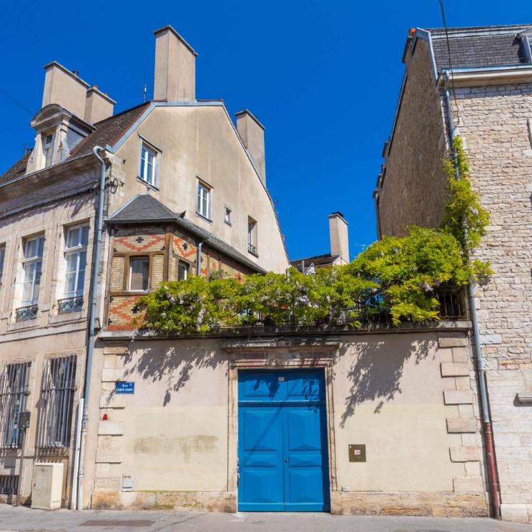 Sous la glycine au centre de Dijon - Appartement avec Terrasse - 5