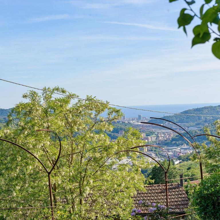 Villa Ponzio - Villa con Vista Mare - 35