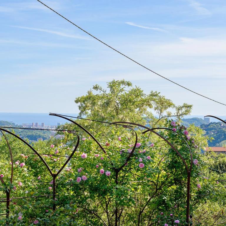 Villa Ponzio - Villa con Vista Mare - 38