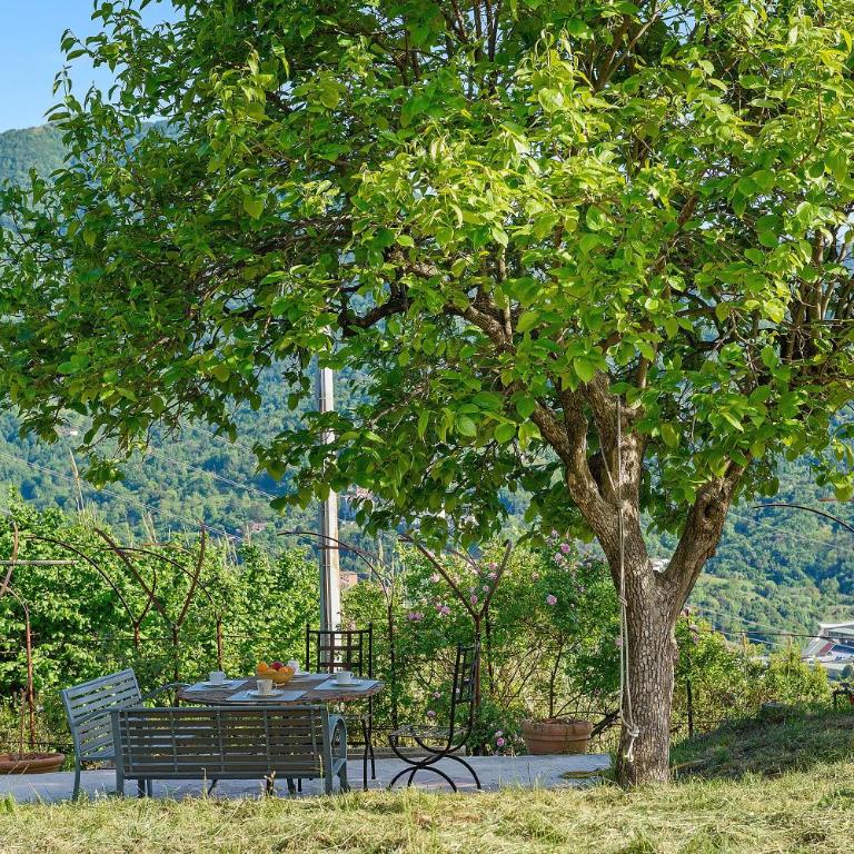 Villa Ponzio - Villa con Vista Mare - 39