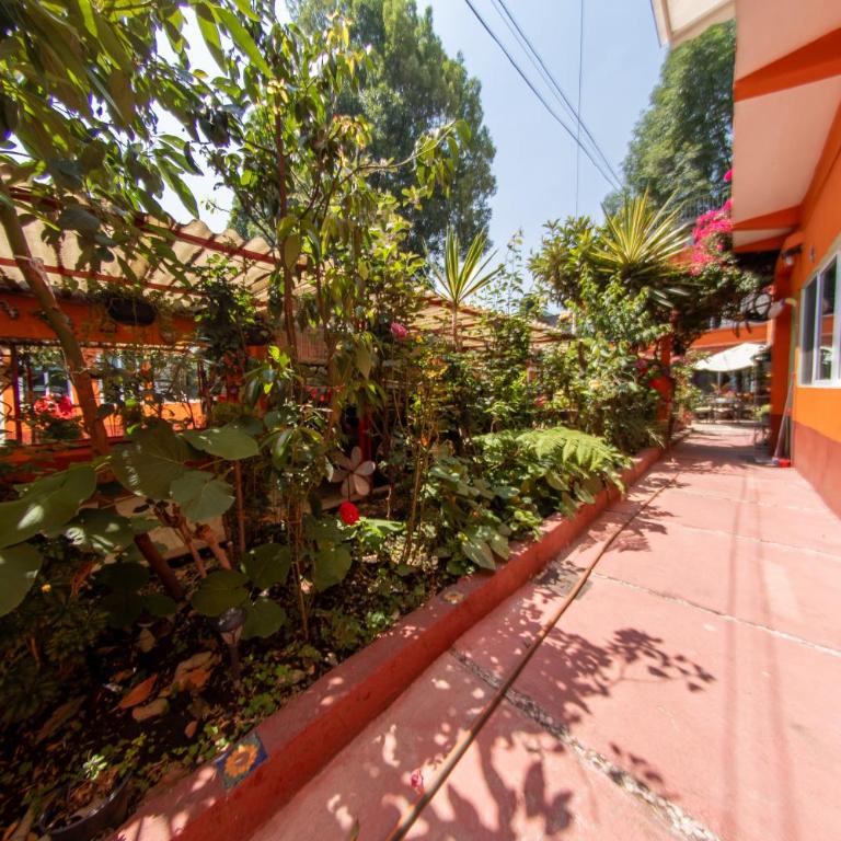 Depa 1 habitación equipado coyoacan - Apartamento de 1 dormitorio - 29