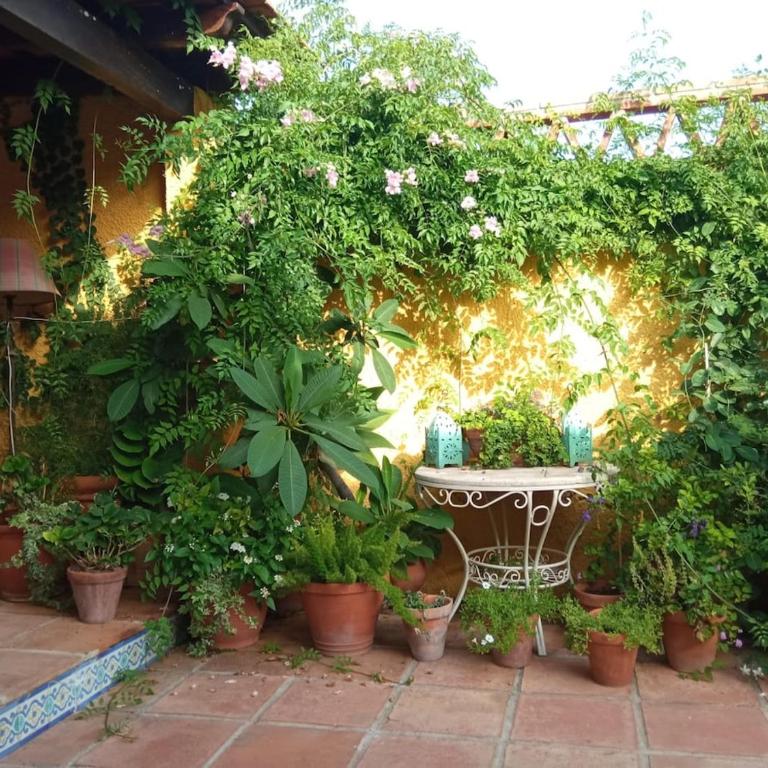 Chalet con encanto, con piscina y cerca de playa - Casa de 4 dormitorios - 26