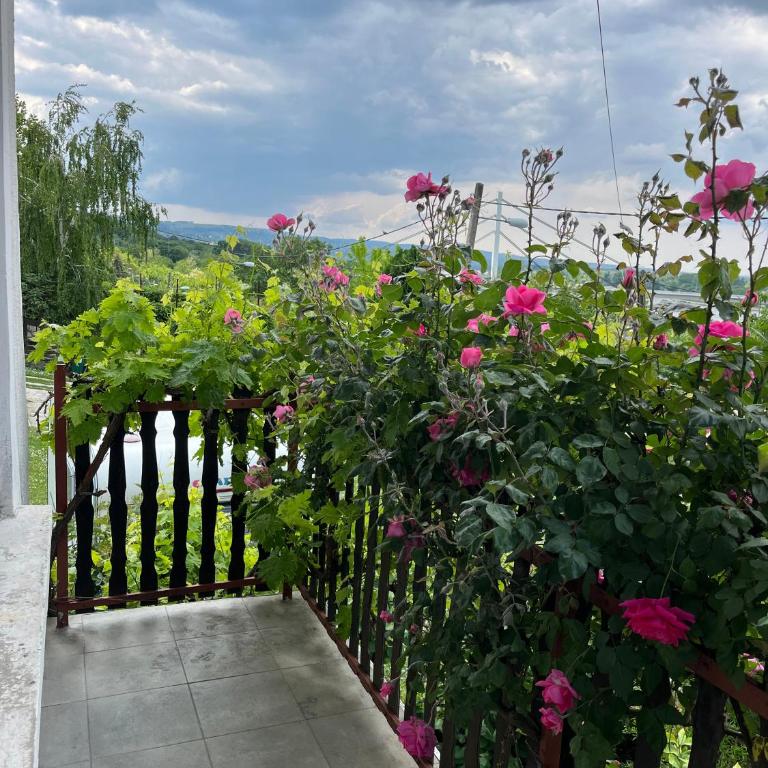 Lovely apartment with beautiful view and parking - Apartman sa 2 Spavaće Sobe - 14