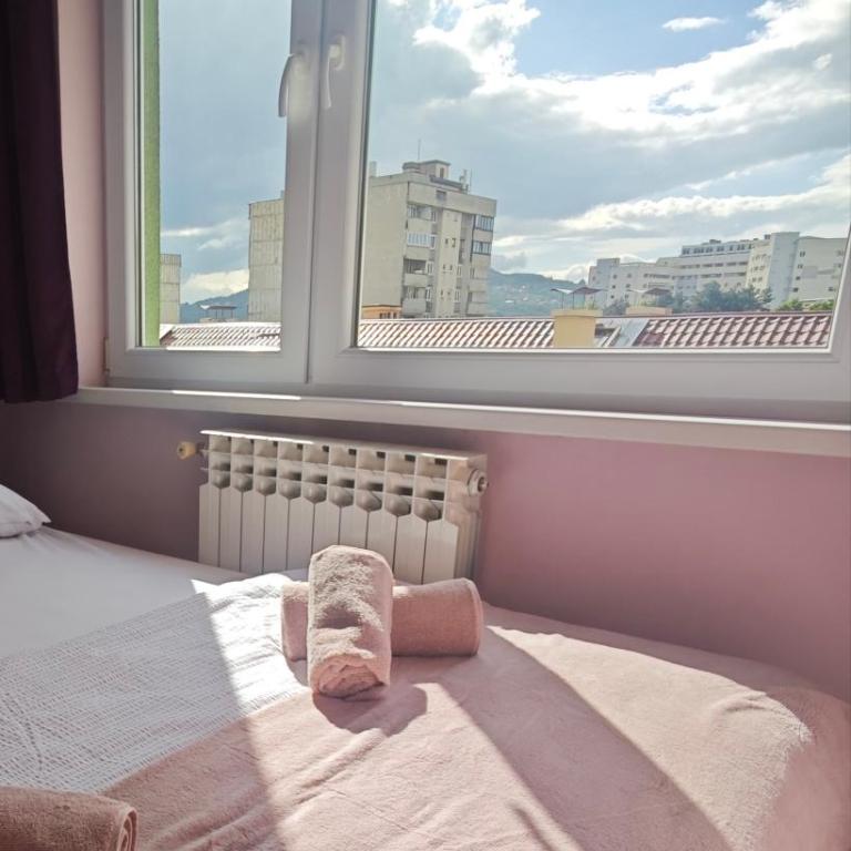 AjRi Apartment Sarajevo - Apartman sa 1 Spavaćom Sobom - 9