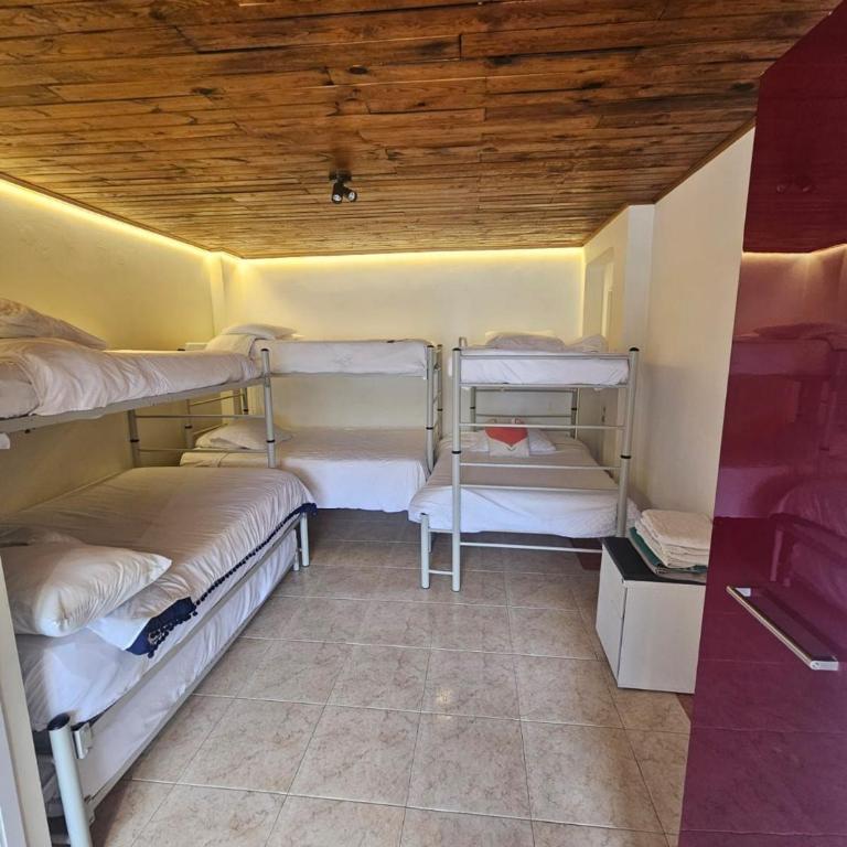 Homy Apartamentos-Deluxe 1 - Apartamento - 3