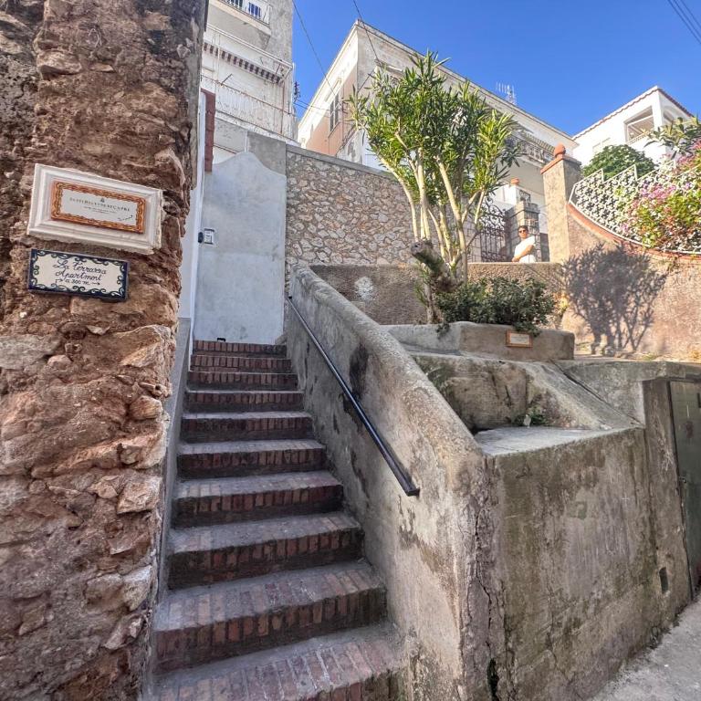 Belvedere 17 - Two-Bedroom Apartment with Terrace - 3