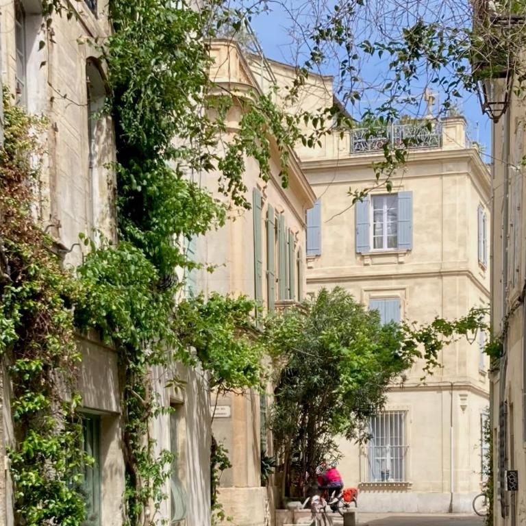Maison d'artiste, la Roquette, Arles centre - Two-Bedroom House - 19