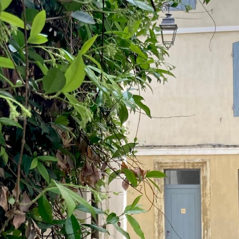 Maison d'artiste, la Roquette, Arles centre - Two-Bedroom House - 20