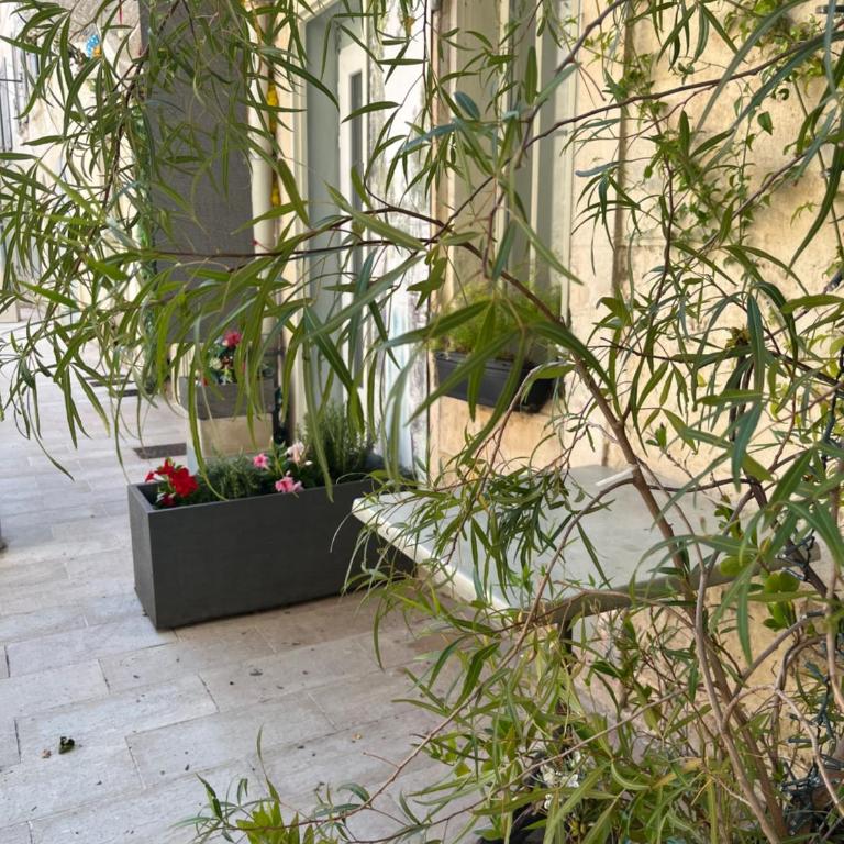Studio Spacieux Cœur Historique - Appartement 1 Chambre - 5